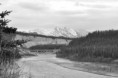 /album/alaska/alaskanikon-154-jpg/